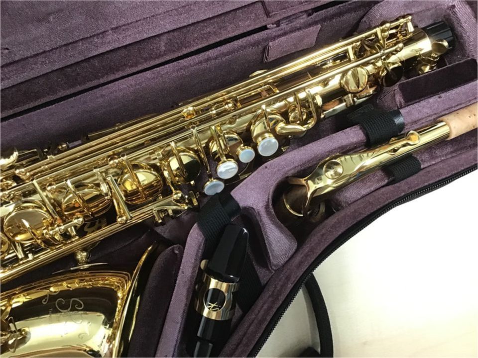 Altsaxophon Trevor James 'SR', neu in Wermelskirchen