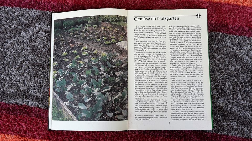 Gemüse im Garten / Garten Grammatik vom ARTIA Verlag Prag 1984 in Jena