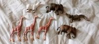 7 Schleichtiere Elefant, Giraffe, Krokodil, Eisbär Nordrhein-Westfalen - Gescher Vorschau