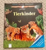 Buch Kinderbuch Junior Tierkinder mit Stickern, Klappen uvm. Baden-Württemberg - Heddesheim Vorschau