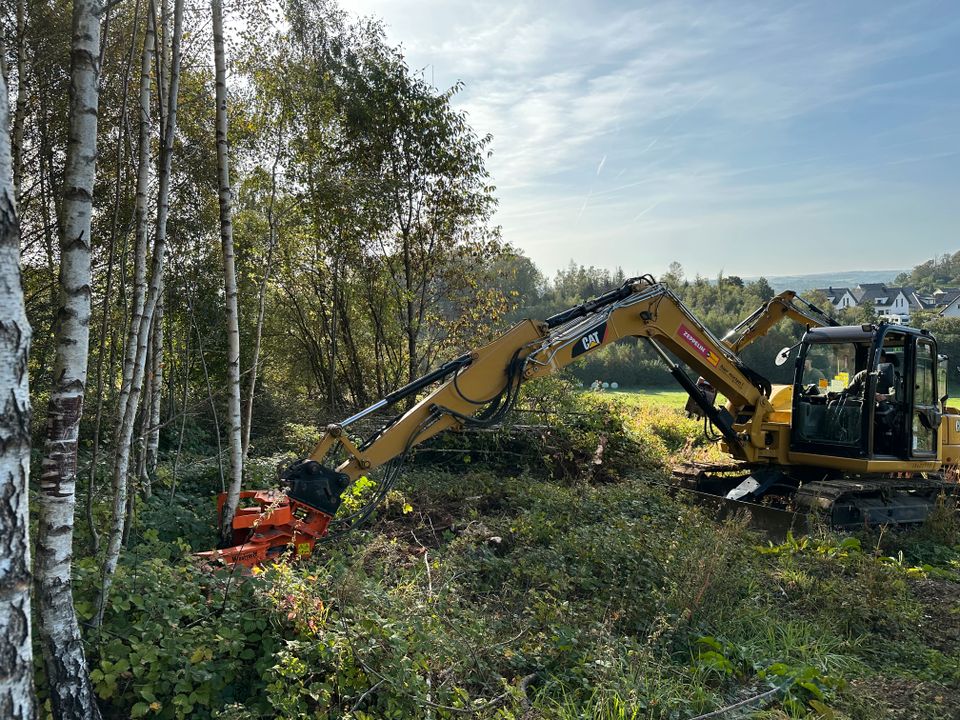 Baumfällungen/Baumpflege/Rodungen/Mulcharbeiten/Wurzelfräsen in Bochum