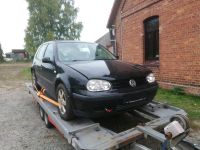 ALLES MUSS WEG ❗SCHLACHTFEST VW GOLF 4 1.4L, Bj. 2000 Niedersachsen - Verden Vorschau