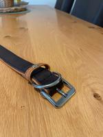 Lederhalsband Niedersachsen - Neuenkirchen-Vörden Vorschau