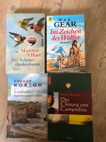 4 Bücher Romane nur 0,50€! Sachsen-Anhalt - Bad Schmiedeberg Vorschau