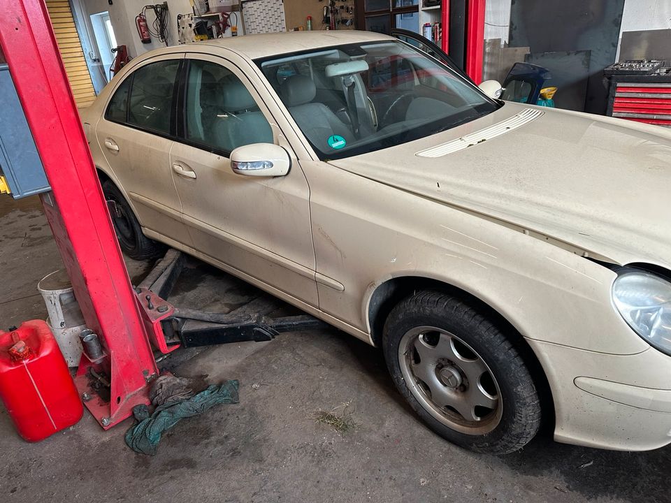 Mercedes W211 E-Klasse 220cdi Schlachtfest in Klostermansfeld