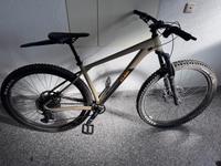 Cube Reaction TM Mountainbike 29Zoll, Größe M Bayern - Bamberg Vorschau