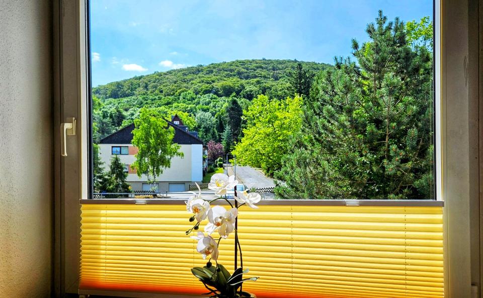 neu eingerichtetes Feriendomizil mit Bergblick - provisionsfrei in Bad Harzburg