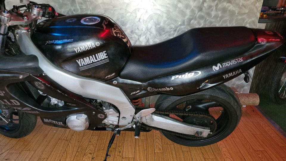 Yamaha YZF 600 R Thundercat in Abtsgmünd