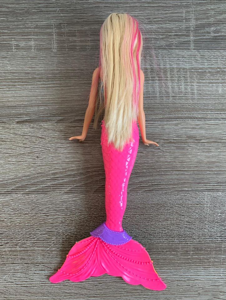 Barbie Meerjungfrau in Sögel