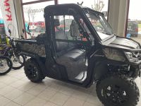 Utv Uforce 1000  DLX EPS Sonderausstattung Thüringen - Aspach Vorschau