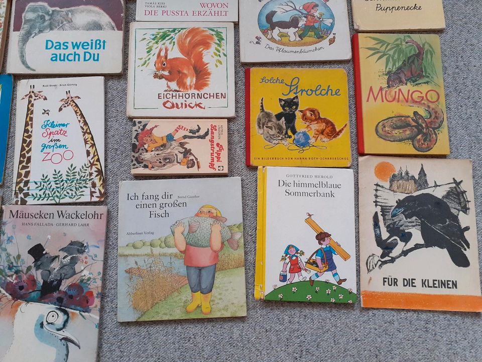 DDR KINDERBÜCHER JUGENDBÜCHER Riesiges Konvolut in Freiberg