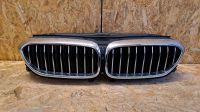 BMW 5 G30 G31 Grill Kühlergrill Kamera Baden-Württemberg - Elztal Vorschau