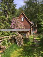 Idyllisches Ferienhaus im Wald bei Winsen/Luhe Schleswig-Holstein - Lütjensee Vorschau