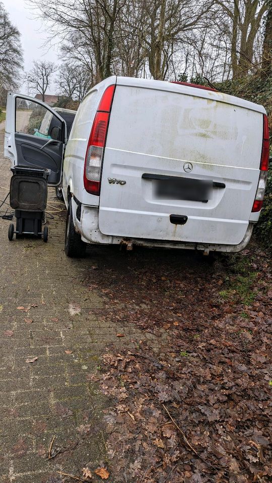 Mercedes Vito Lkw Zulassung 109 CDI in Oldendorf (Landkreis Stade)