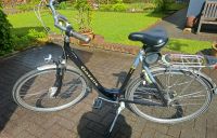 Bio Bike Gazelle orange Nordrhein-Westfalen - Rheine Vorschau