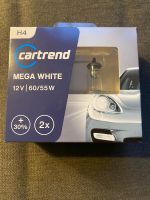 Cartrend Xenon, Mega white, H4, 2 Birnen 12V, 60/55 W, neu Wandsbek - Hamburg Sasel Vorschau