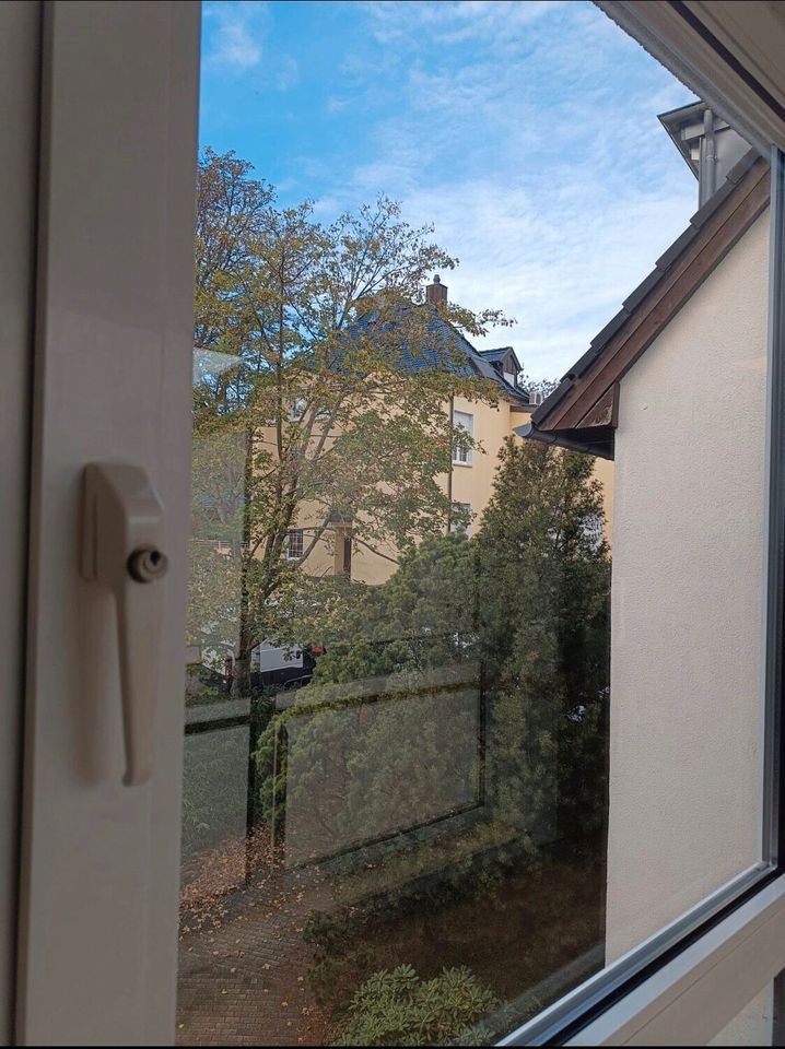 Fensterputzer Glasreiniger in Herne