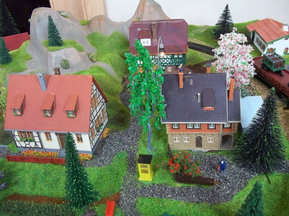 Modelleisenbahn Fertiggelände Noch H0 digital Eisenbahn z21 ROCO in Niederaula