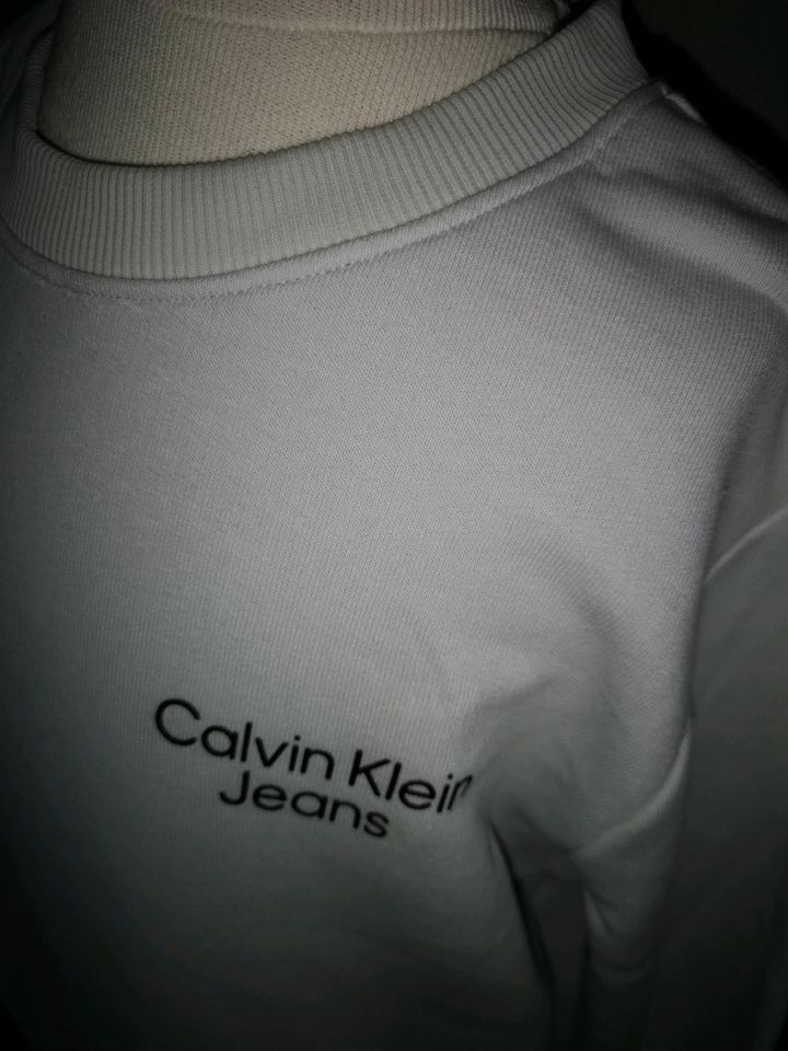Calvin Klein Sweatshirt Gr 152 Pullover Hellgrau NEUw in Porta Westfalica