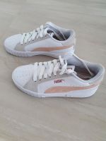 Puma Schuhe Nordrhein-Westfalen - Sankt Augustin Vorschau