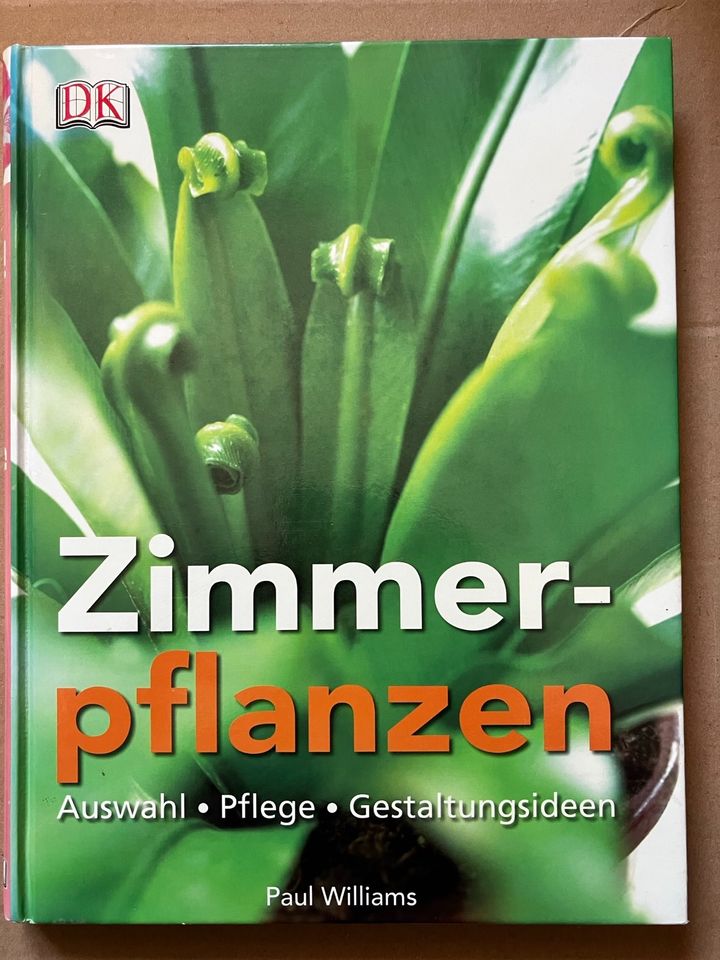 Zimmerpflanzen in Illingen