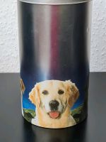 Blechdose "Hund", Leckerli-Dose Sachsen-Anhalt - Eisleben Vorschau