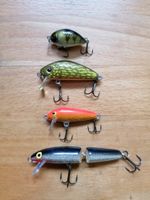 Wobbler Forelle Trout : Rapala , Jenzi, Izumi Hessen - Langenselbold Vorschau