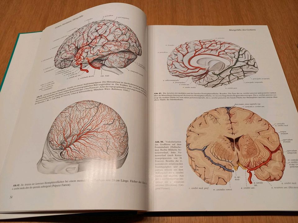 Sobotta, Atlas der Anatomie des Menschen, in 2 Bänden, 18.Auflage in Hannover