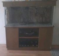 120L Aquarium mit Schrank zu verkaufen Hessen - Pohlheim Vorschau