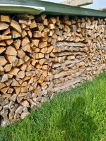 Brennholz hartholz gemischt Baden-Württemberg - Singen Vorschau