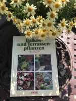 Gartenbuch  Balkon u Terrassenpflanzem , gebraucht Nordrhein-Westfalen - Stolberg (Rhld) Vorschau