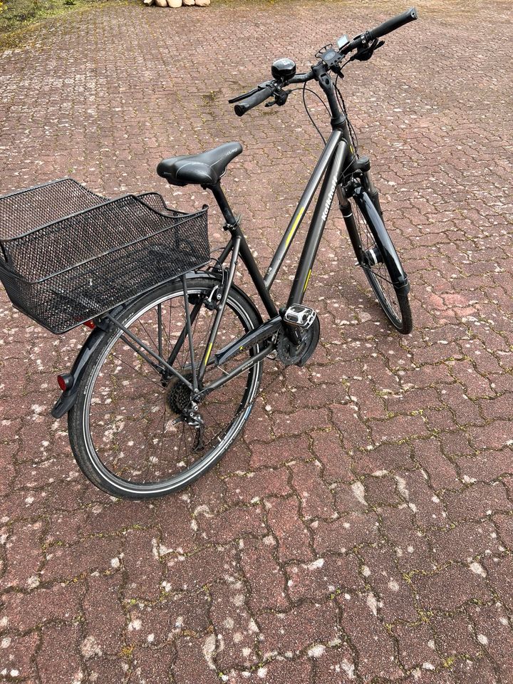 Fahrrad, Damenfahrrad, Kalkhoff, Agattu HS27 Damen in Neumünster