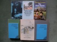 10 Bücher von und über Theodor Fontane, ab 0,50 € Nordrhein-Westfalen - Neuss Vorschau