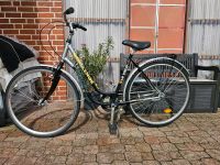 Fahrrad gebraucht / Citybike Nordrhein-Westfalen - Ennigerloh Vorschau