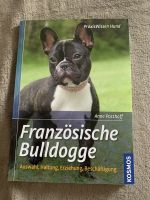 Buch französische Bulldogge Hund Bully wissen Baden-Württemberg - Wolfschlugen Vorschau