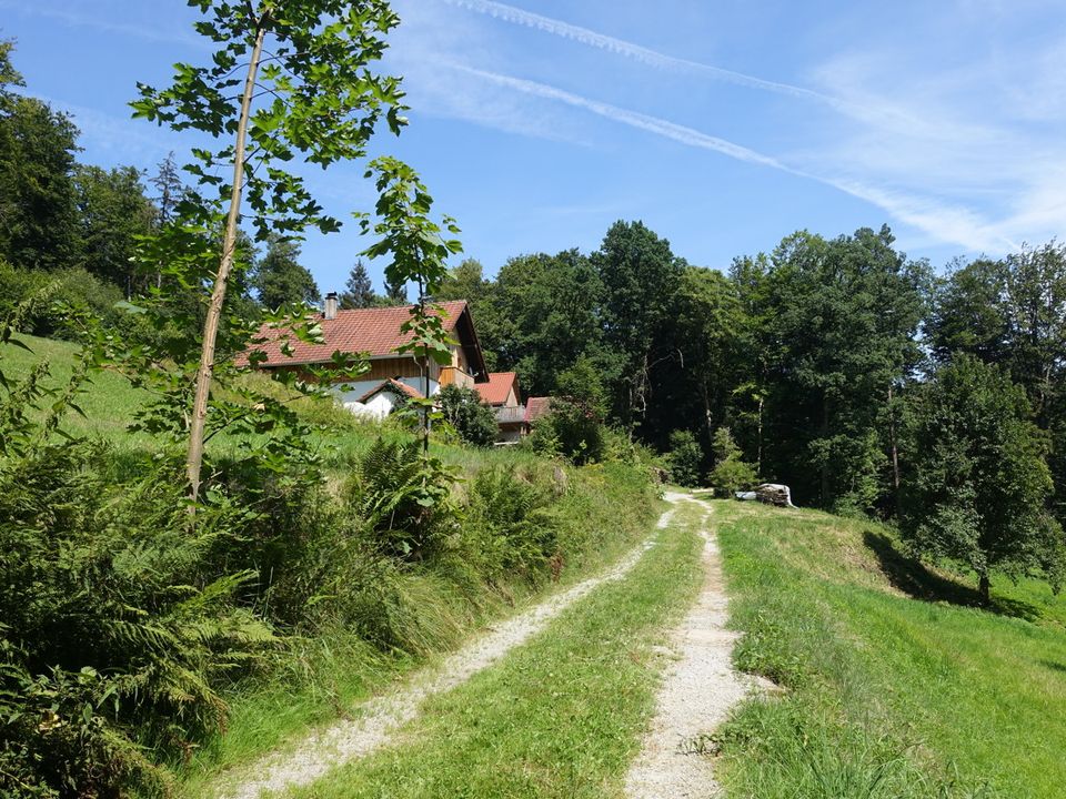 Ländl. Anwesen m. ca. 29.000 m2 Wiese/Wald m. eig. Quelle für Selbstversorger im "Lallinger Winkel"! in Grattersdorf