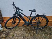 WINORA Yucatan 9i Trekking E-Bike grünmetallic Hessen - Erzhausen Vorschau