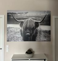 Wandbild Highlandcattle Bayern - Weiler-Simmerberg Vorschau