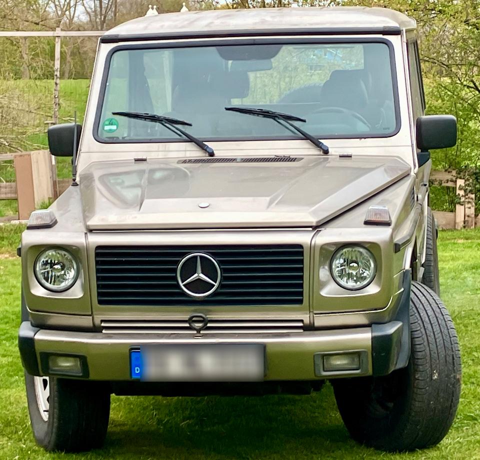 Mercedes Benz G300 Mercedes G klasse mercedes G300 Allrad 4x4 in Loxstedt