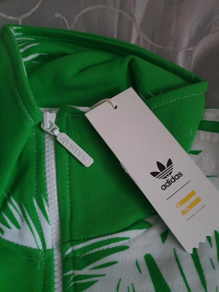 Adidas palm jacket sales