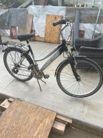 Fahrrad, 26 Zoll Nordrhein-Westfalen - Altenbeken Vorschau