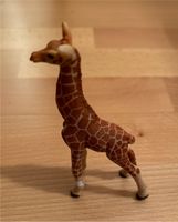 Giraffe, Schleich, ca. 12 hoch München - Au-Haidhausen Vorschau