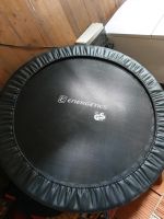 Trampolin energetics 120 cm Bayern - Ebensfeld Vorschau