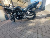 Yamaha Fazer 600 Baden-Württemberg - Ispringen Vorschau