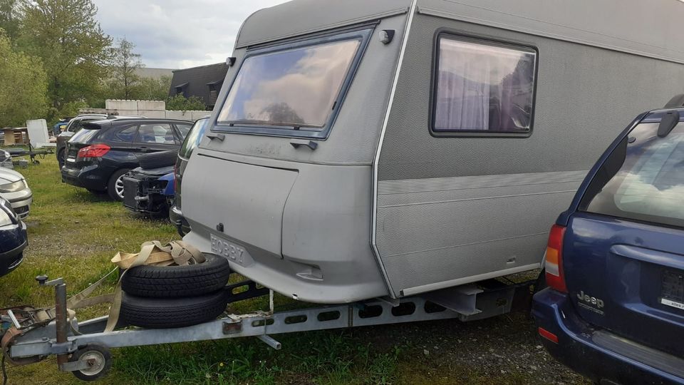 Wohnwagen Hobby in Rockenhausen