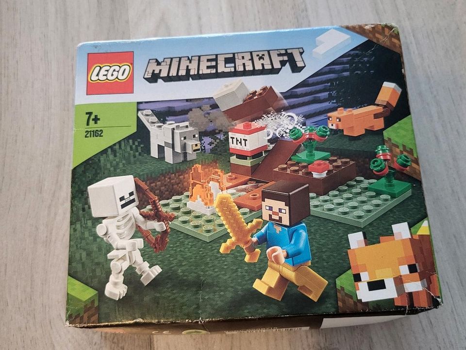 Lego Minecraft 21162 in Menden