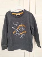 Sweatshirt 110 Manguun Dinosaurier grau Pullover Bayern - Kumhausen Vorschau