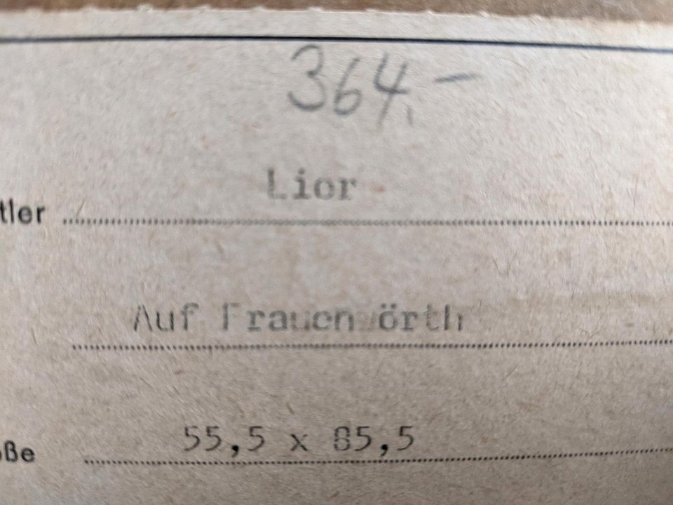Adolf Heinrich Lier "Auf Frauenwörth" Kunstdruck, A.Lier, Öldruck in Eschwege