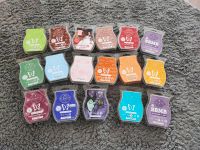 Scentsy Set Rheinland-Pfalz - Worms Vorschau