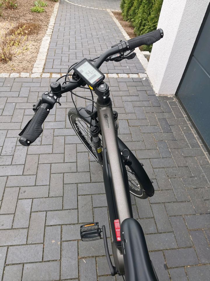 E bike prophete entdecker 20.emt.10 in Grasleben